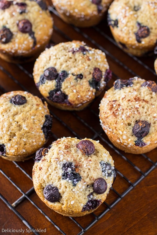 Cinnamon Blueberry Muffins Recipe