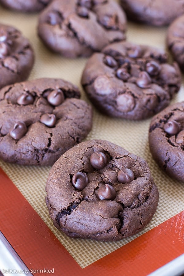 Chocolate Chocolate Chip Cookies