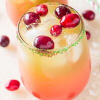 HOLIDAY PUNCH