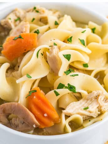 crockpot chicken noodle soup in a bowl