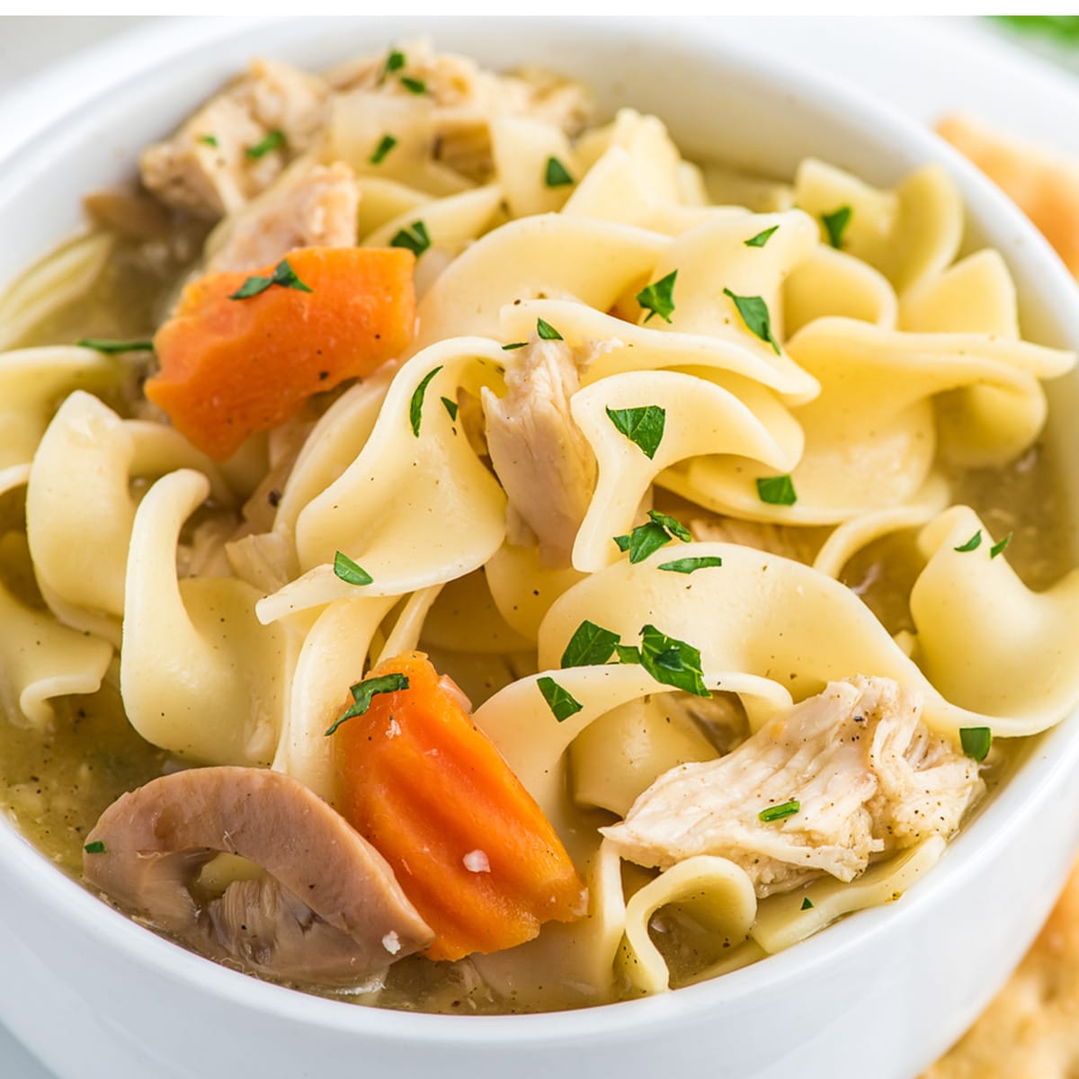 Slow Cooker Chicken Noodle Soup - Damn Delicious