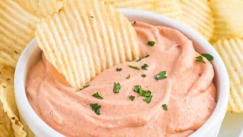 The Best Potato Chip Dip