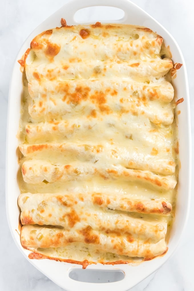 easy chicken enchilada recipe out of the oven