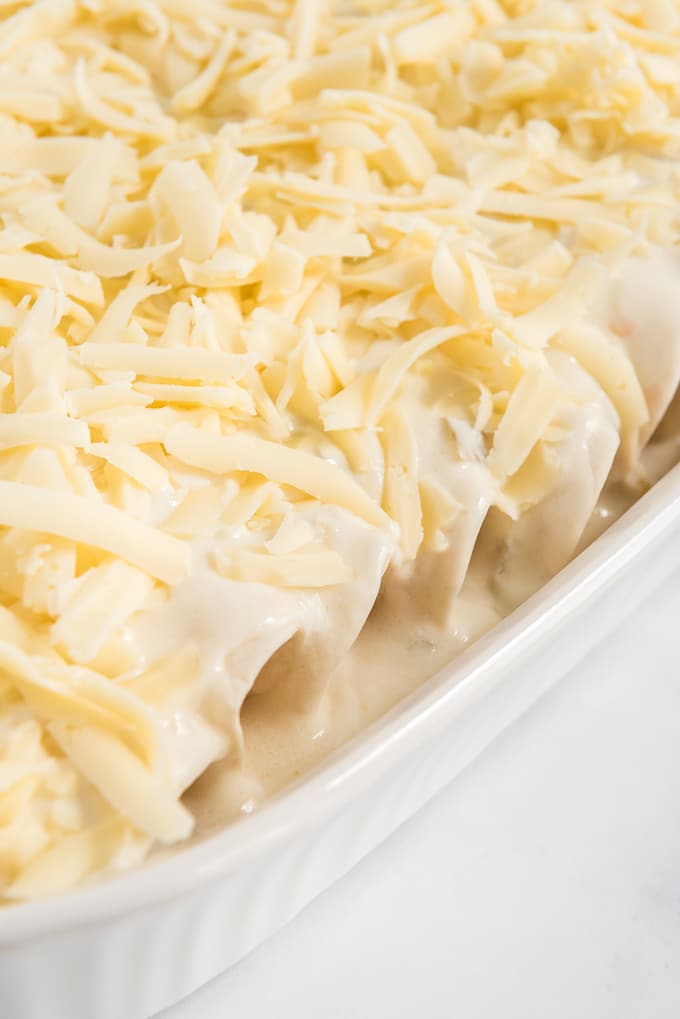 easy chicken enchiladas with cheese added