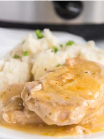 Pork chops made in the crock pot with mashed potatoes.