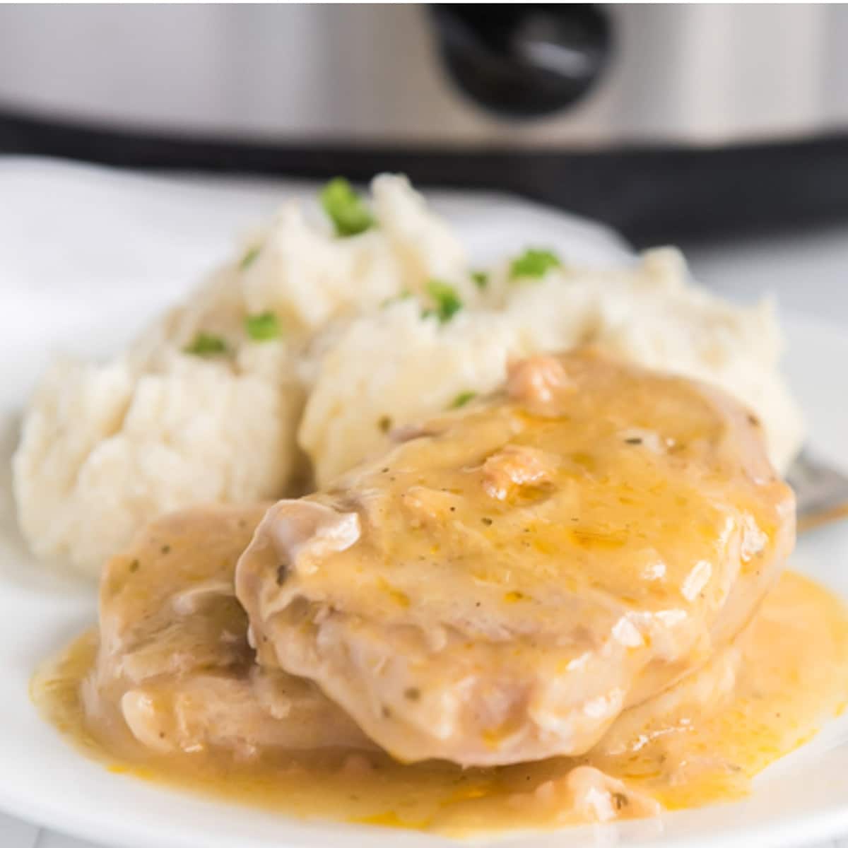 3 Ingredient Crockpot Pork Chops – Deliciously Sprinkled