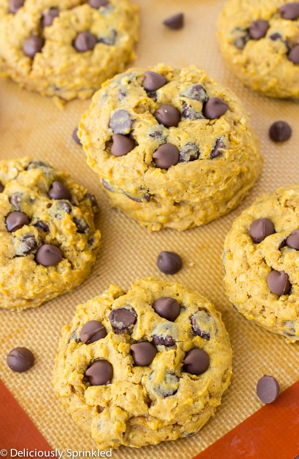 Pumpkin chocolate chip cookies are fully baked and topped with extra chocolate chips. 