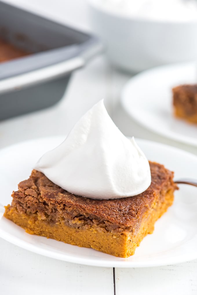 Easy Pumpkin Cake Recipe with whipped cream topping
