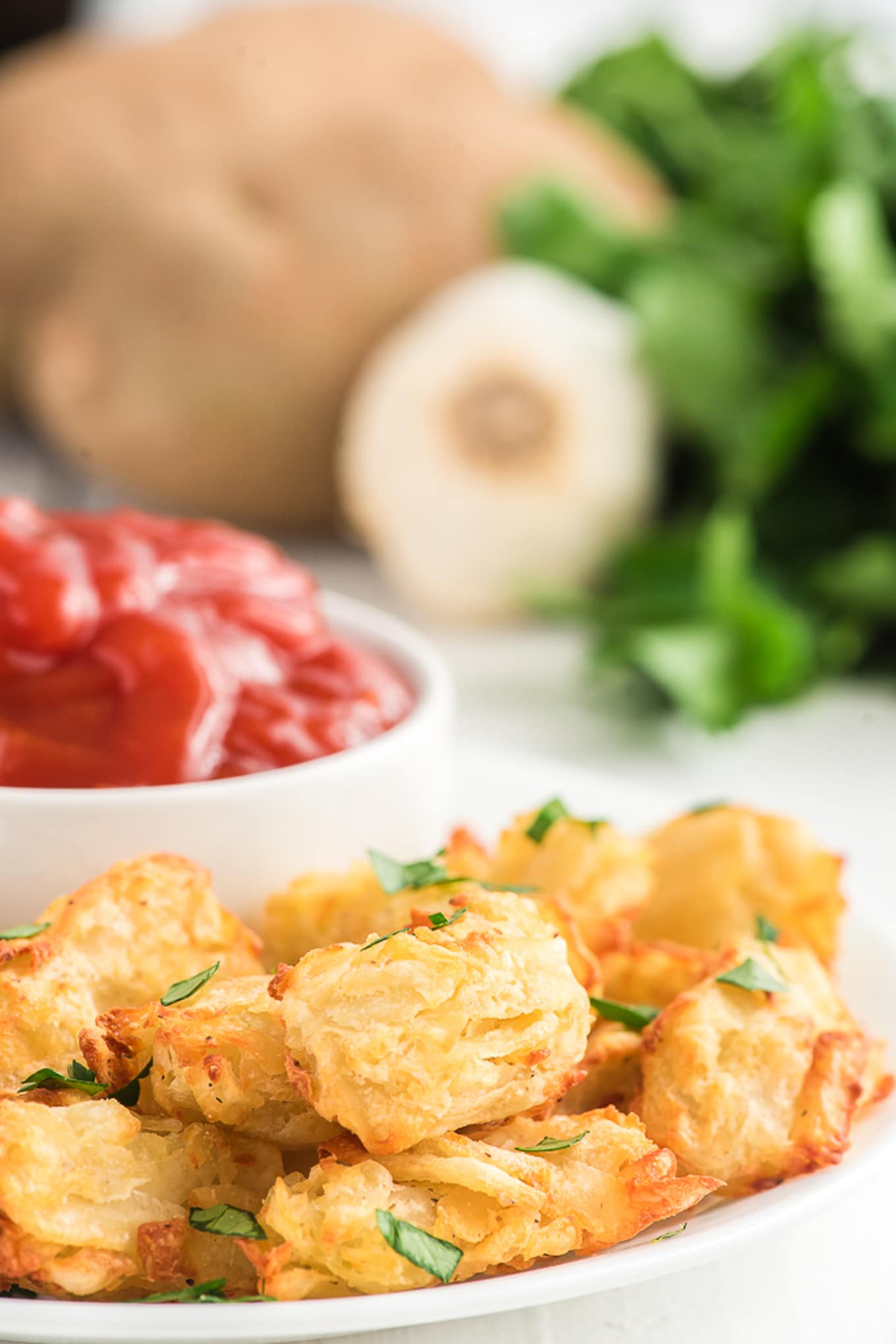 homemade tater tots on a plate with a side of ketchup. /