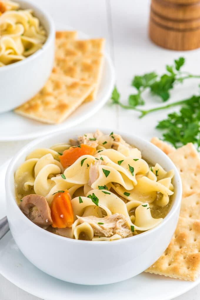 Crockpot Chicken Noodle Soup Deliciously Sprinkled