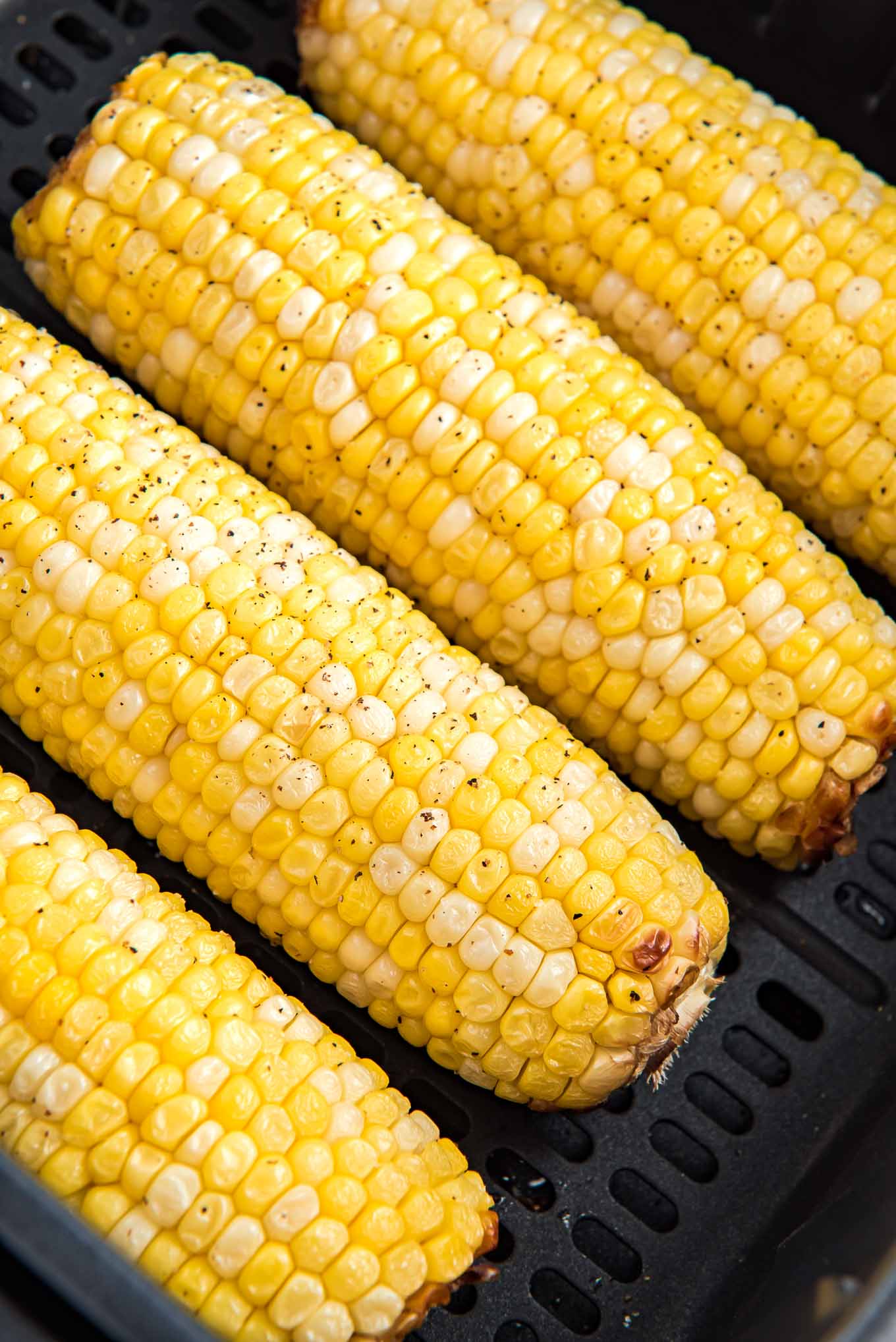 Cooked corn on the cob lightly seasoned with black pepper in the air fryer basket.