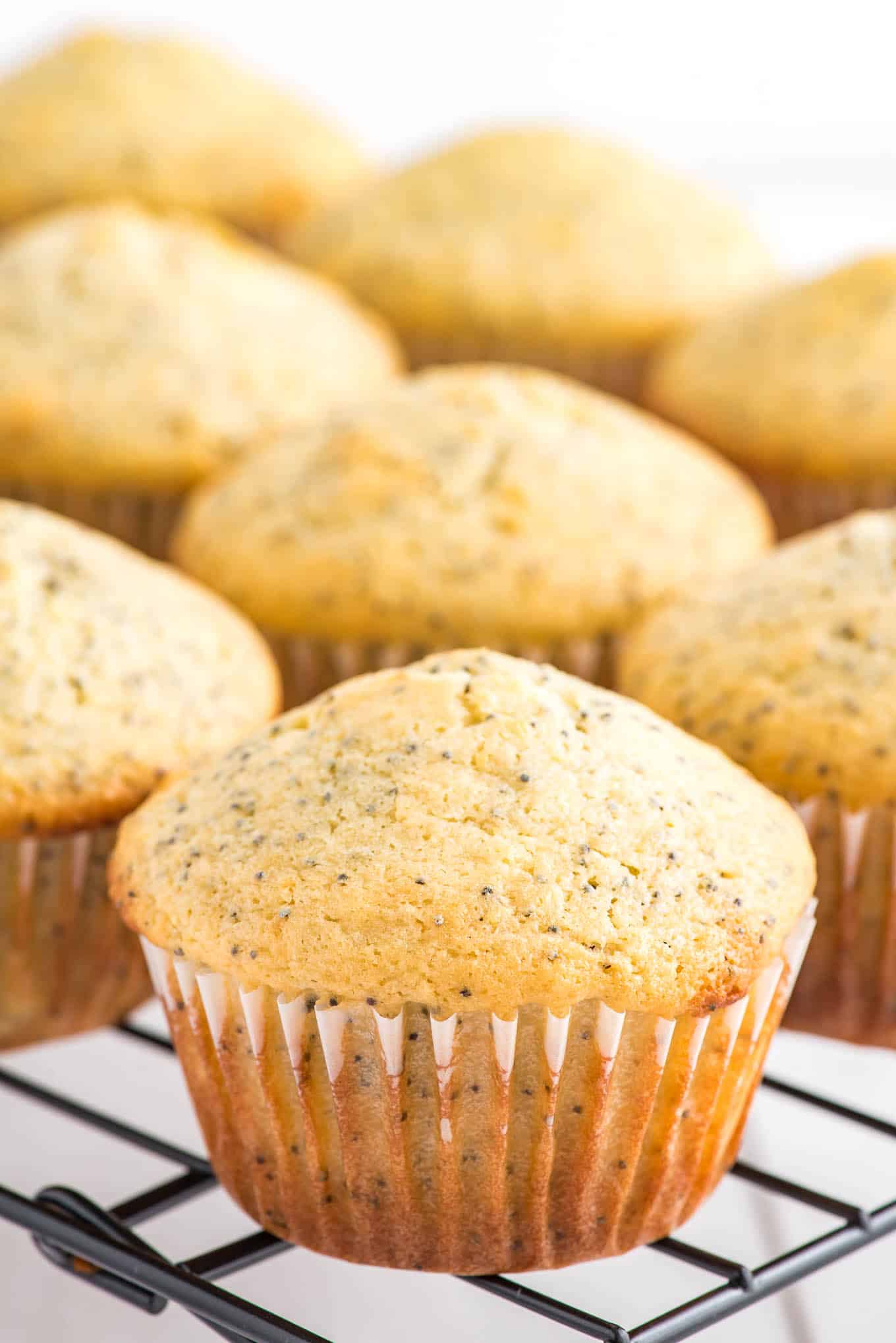 Lemon poppyseed muffins on a baking tray to cool.