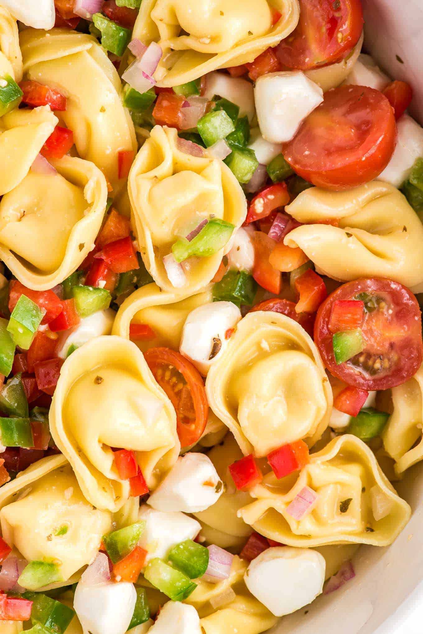 A close up of tortellini pasta salad with olive garden dressing in a bowl. 