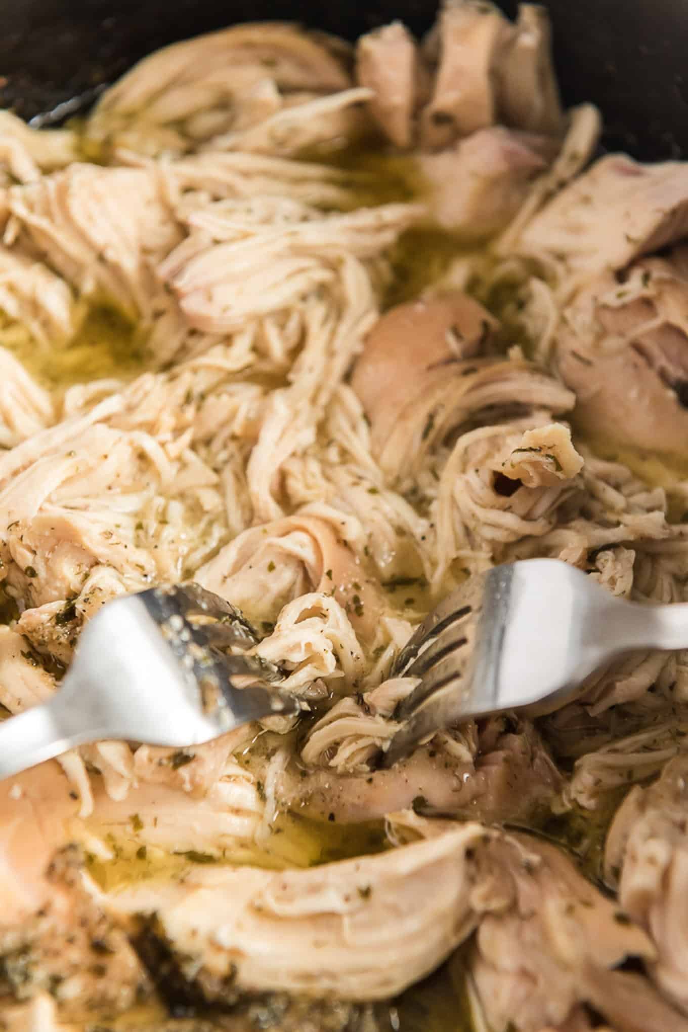 Pulling the shredded chicken apart with two forks.
