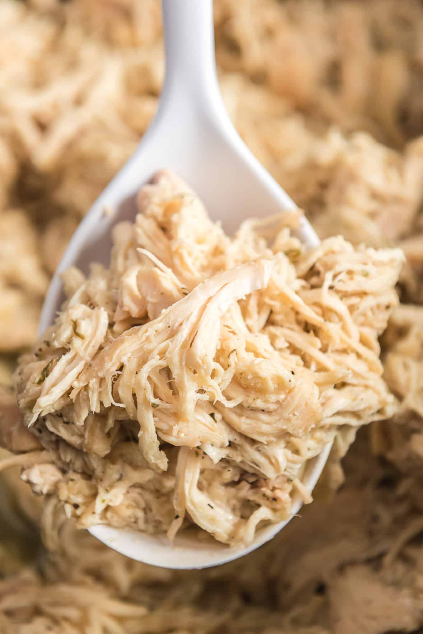 A spoonful of shredded chicken up over a bowl.