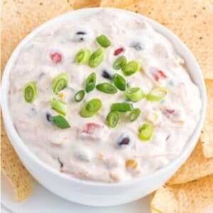 A bowl of rotel dip with cream cheese topped with green onions on a plate with chips.