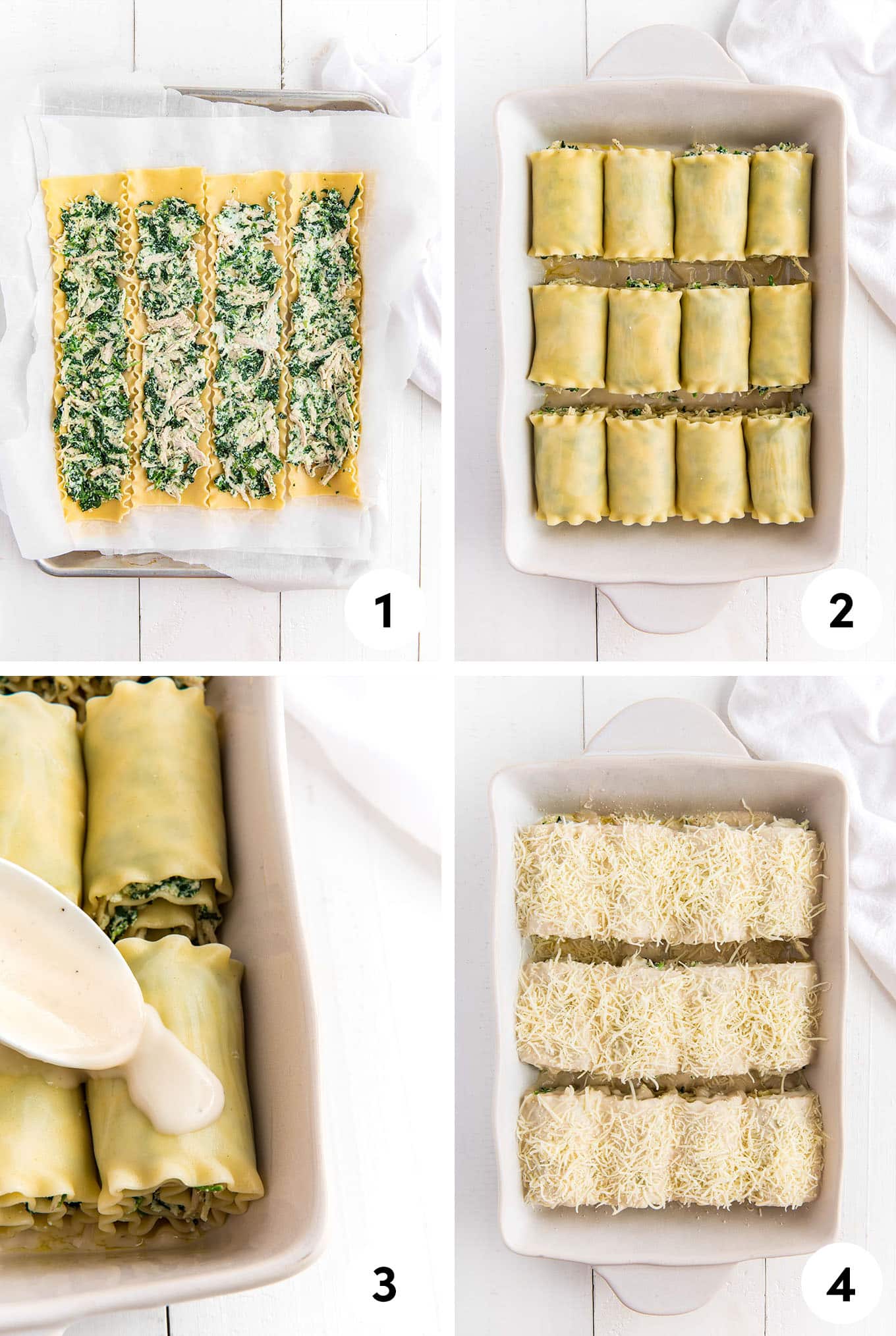 A collage of adding the filling on top of the noodles, rolled up in a baking dish, adding the alfredo sauce and cheese to the top.