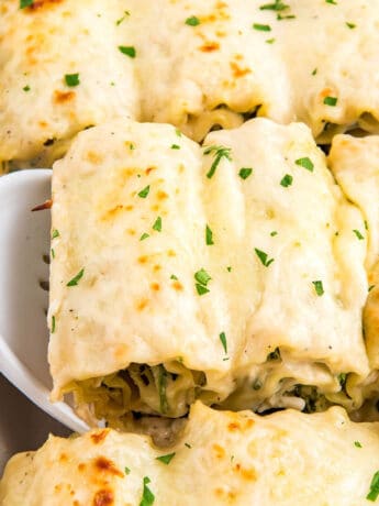 Chicken lasagna roll ups in a baking dish with a spatula lifting up two from the pan.